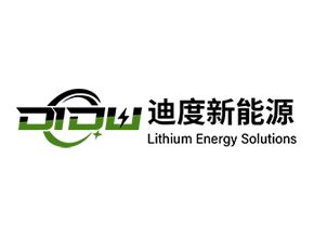 广东迪度新能源有限公司.png